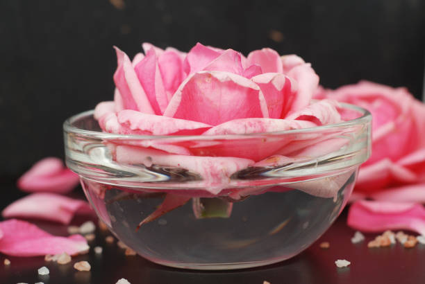 تصویر 1 از گلاب ربیع خوش‌ عطر رنگ روشن کیفیت بالا